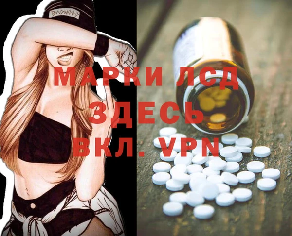 ГАЛЛЮЦИНОГЕННЫЕ ГРИБЫ Арсеньев