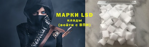 стаф Алексин