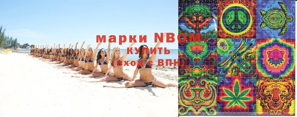 стаф Алексин